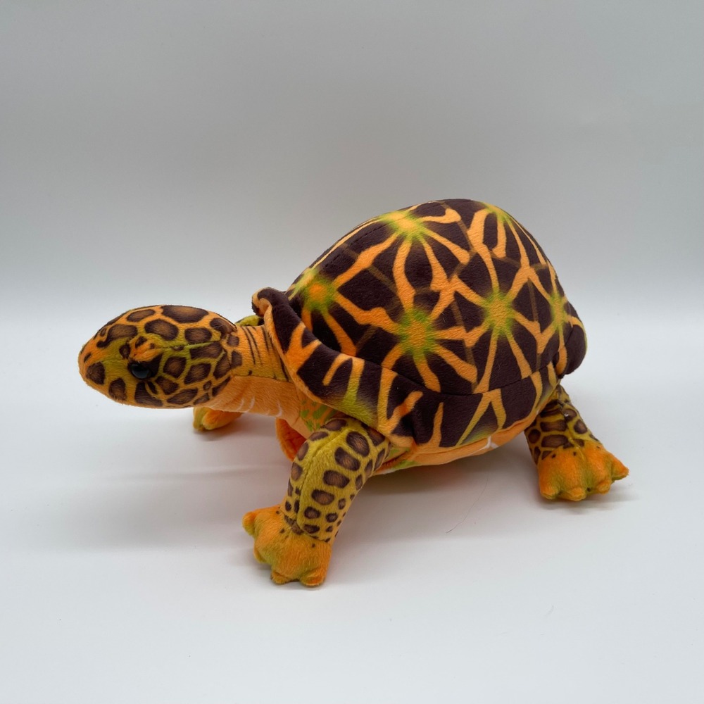 Adventure Planet Box Turtle Plush Stuffed Animal Brown Cute Cuddle Tortoise 9"